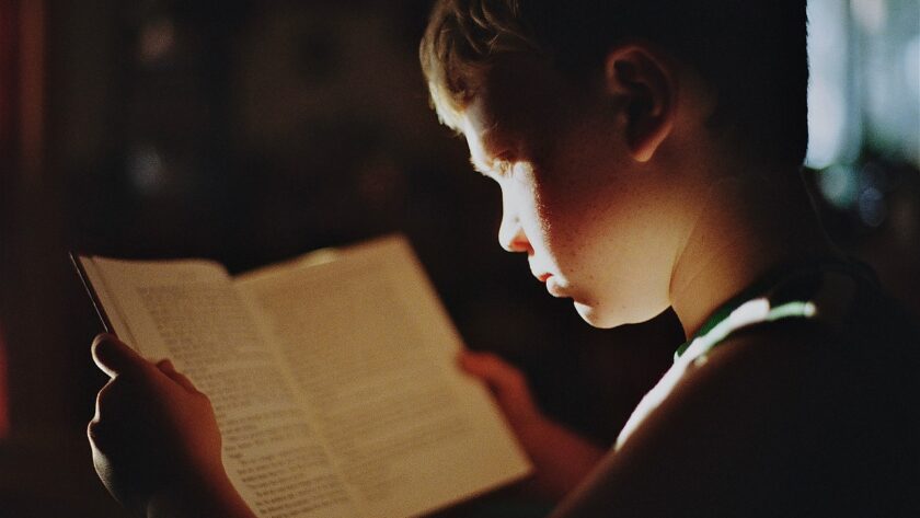 boy, book, reading